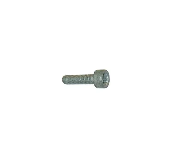 12 Point Torx Bolt (M8x32) – VW/Audi | N91128701